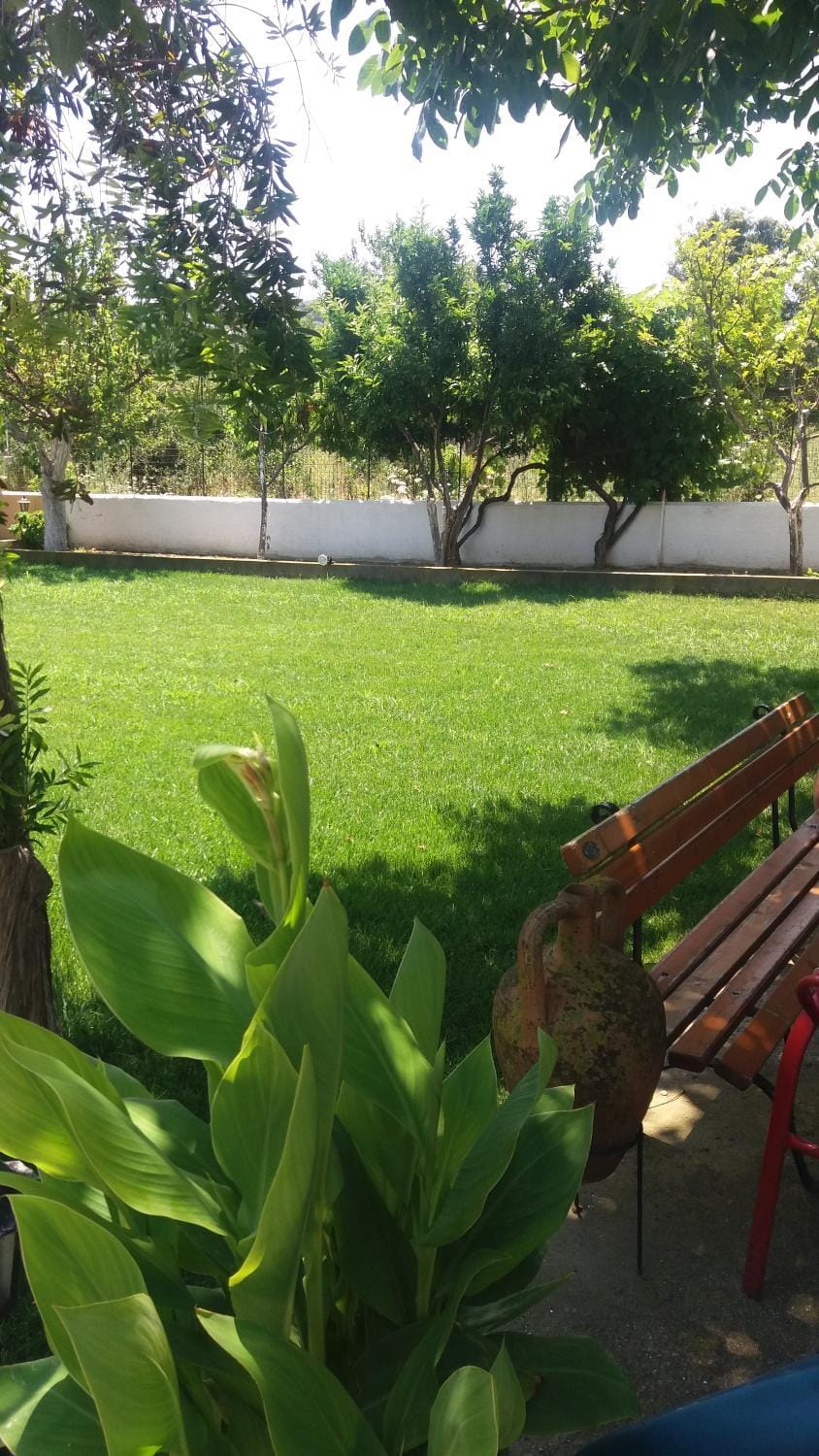 Natural landscape, Garden