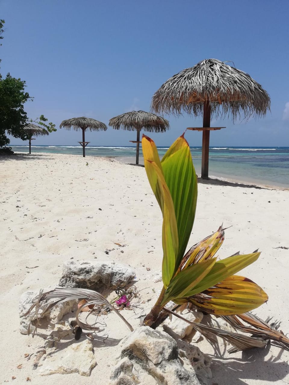 Natural landscape, Beach