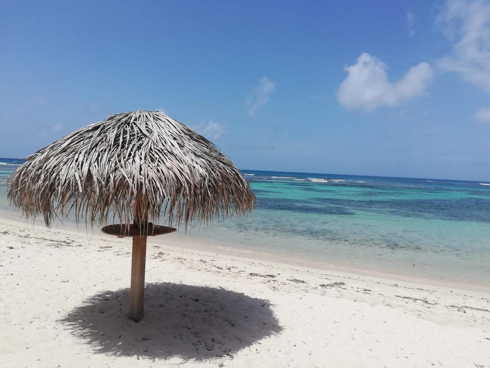 Natural landscape, Beach