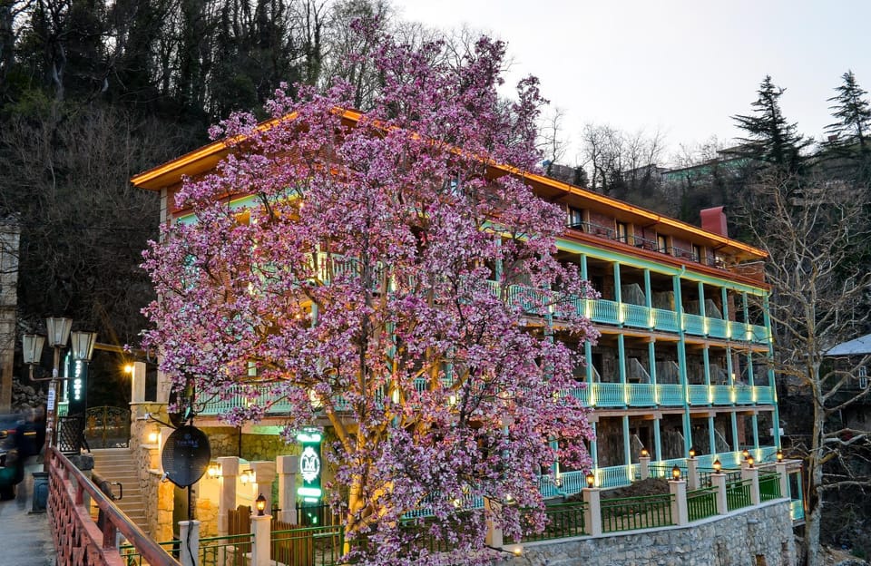 Property building, Hot Spring Bath