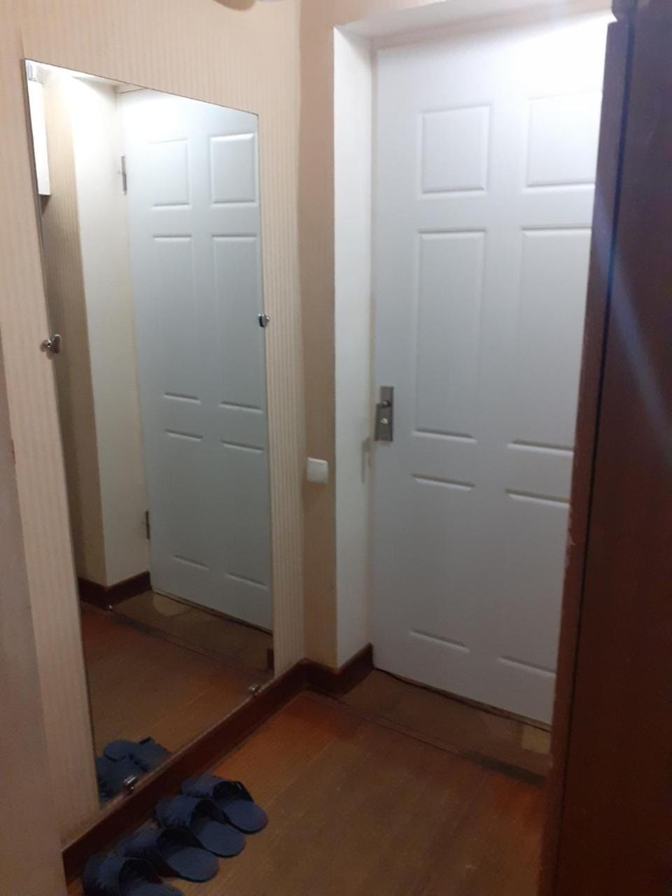 Первомайская. Посуточная уютная квартира Apartment in Ukraine
