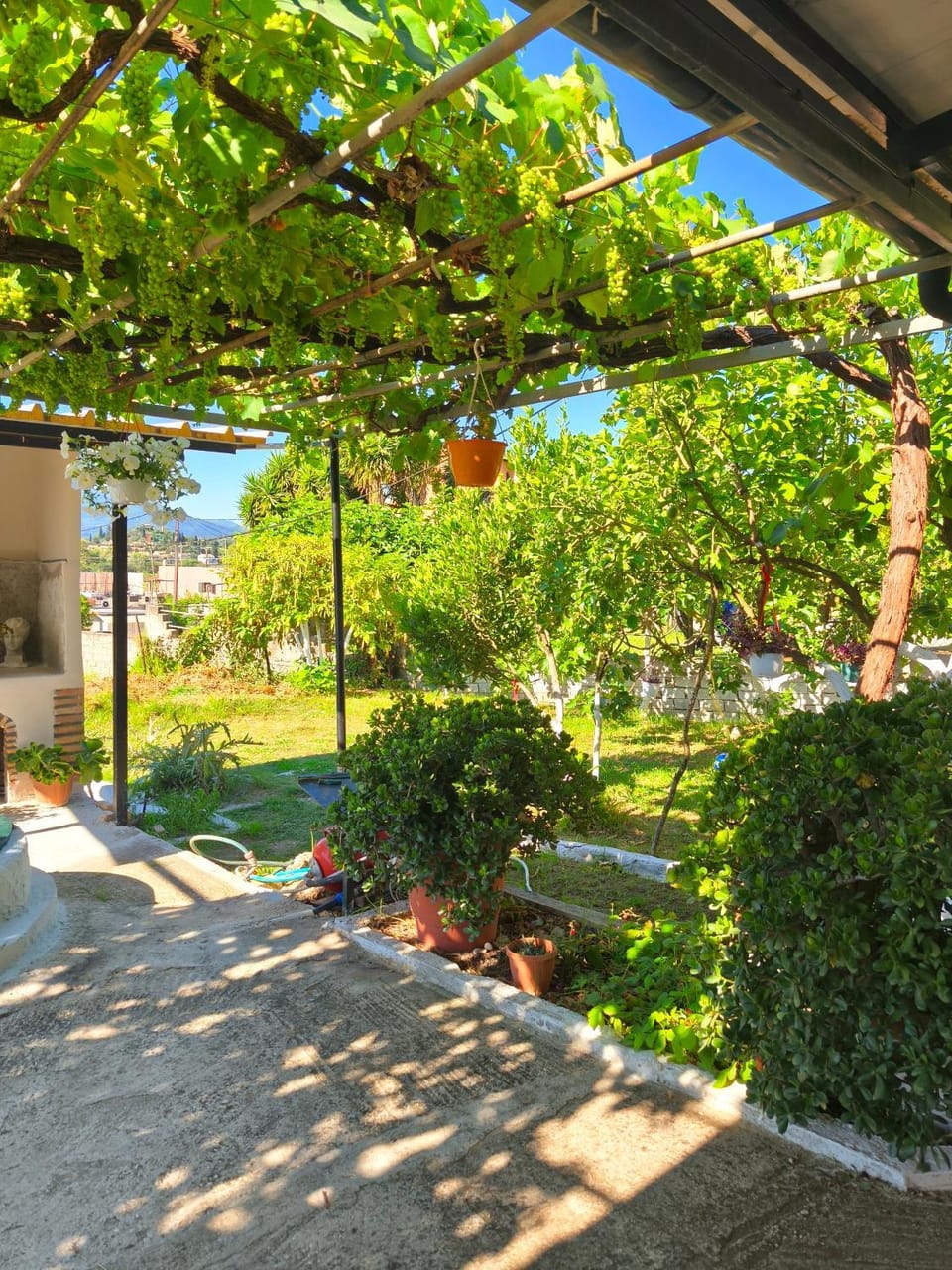 Michaels Flower House Apartment in Corfu
