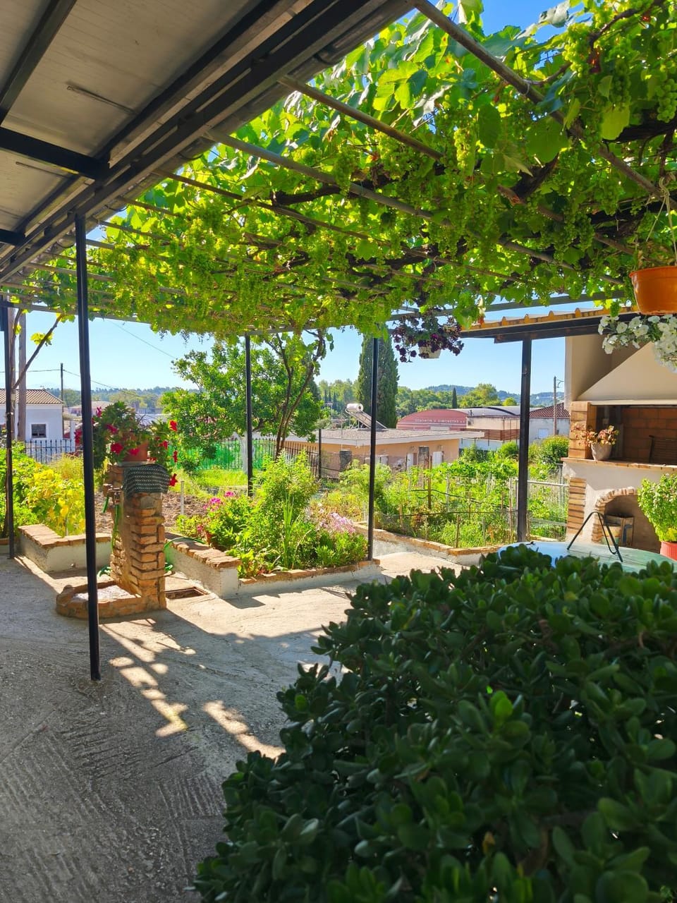 Michaels Flower House Apartment in Corfu