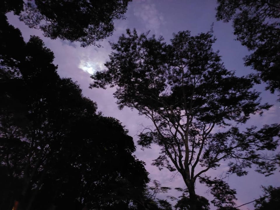 Natural landscape