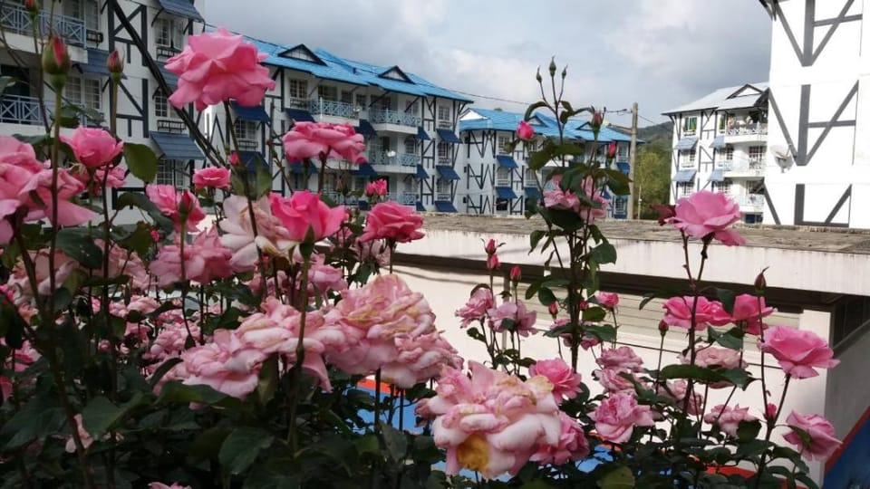 MERLIN HOME DESA ANTHURIUM Apartment in Tanah Rata