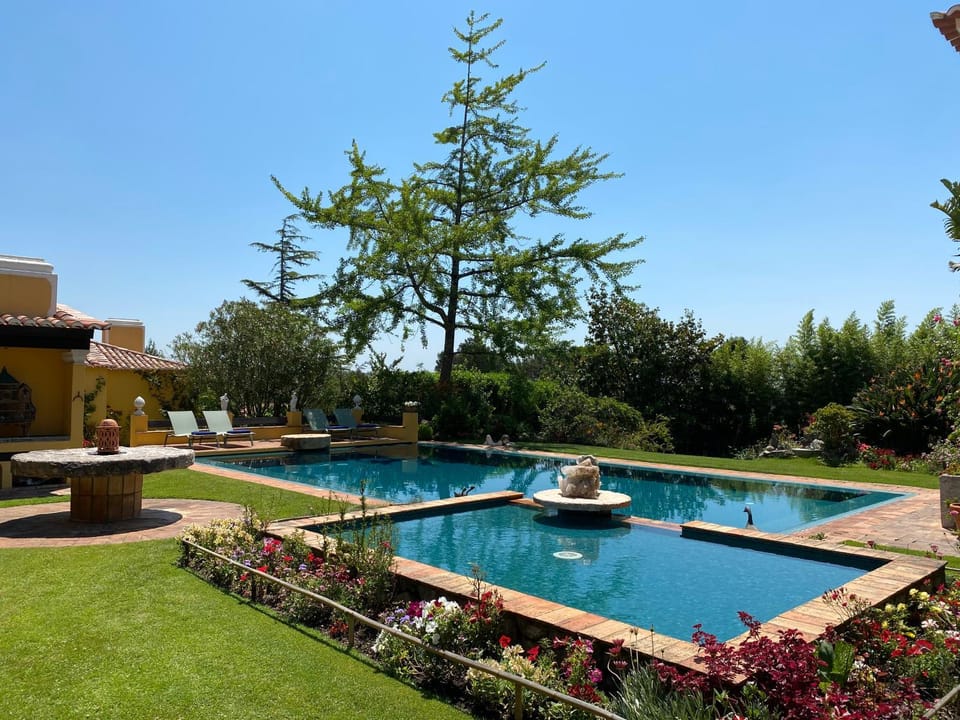 Garden, Swimming pool