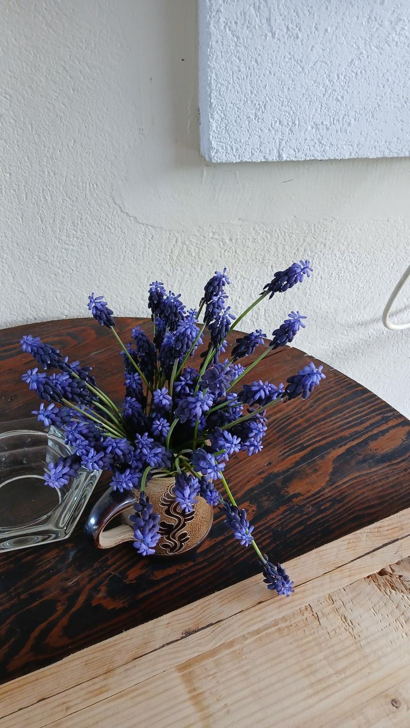 Dabanović House House in Podgorica Municipality, Montenegro