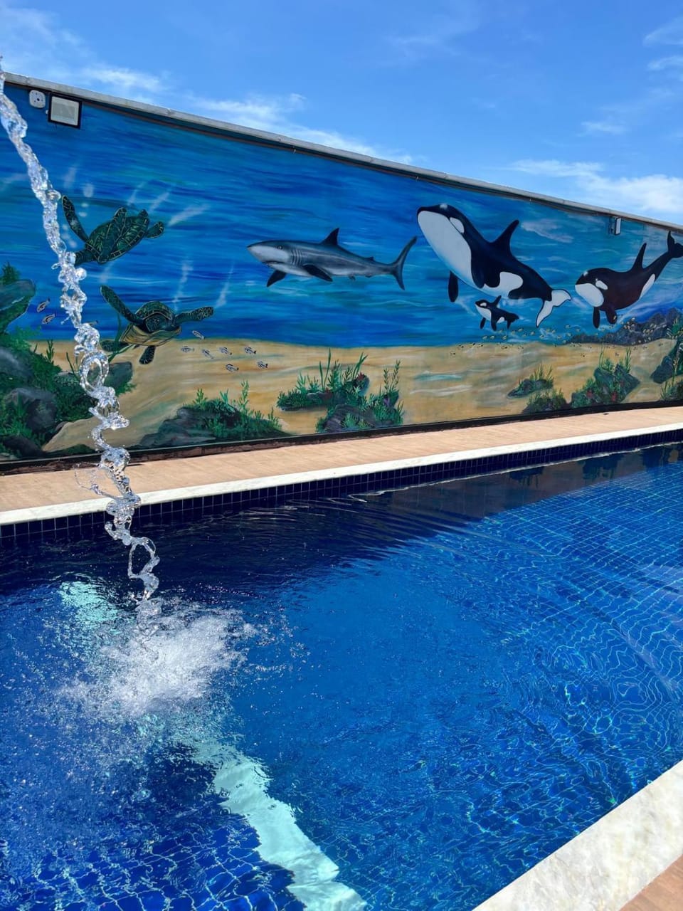 Pool view, Swimming pool