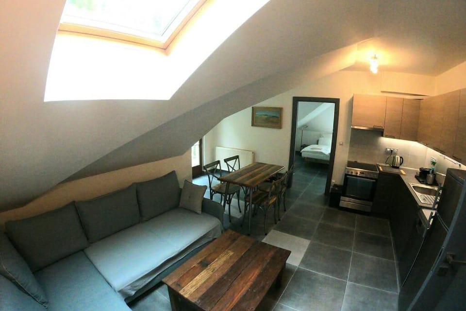 The Mountain Loft Klinovec - with infrasauna Apartment in Saxony
