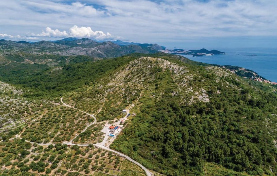 Nearby landmark, Day, Neighbourhood, Natural landscape, Bird's eye view, Sea view