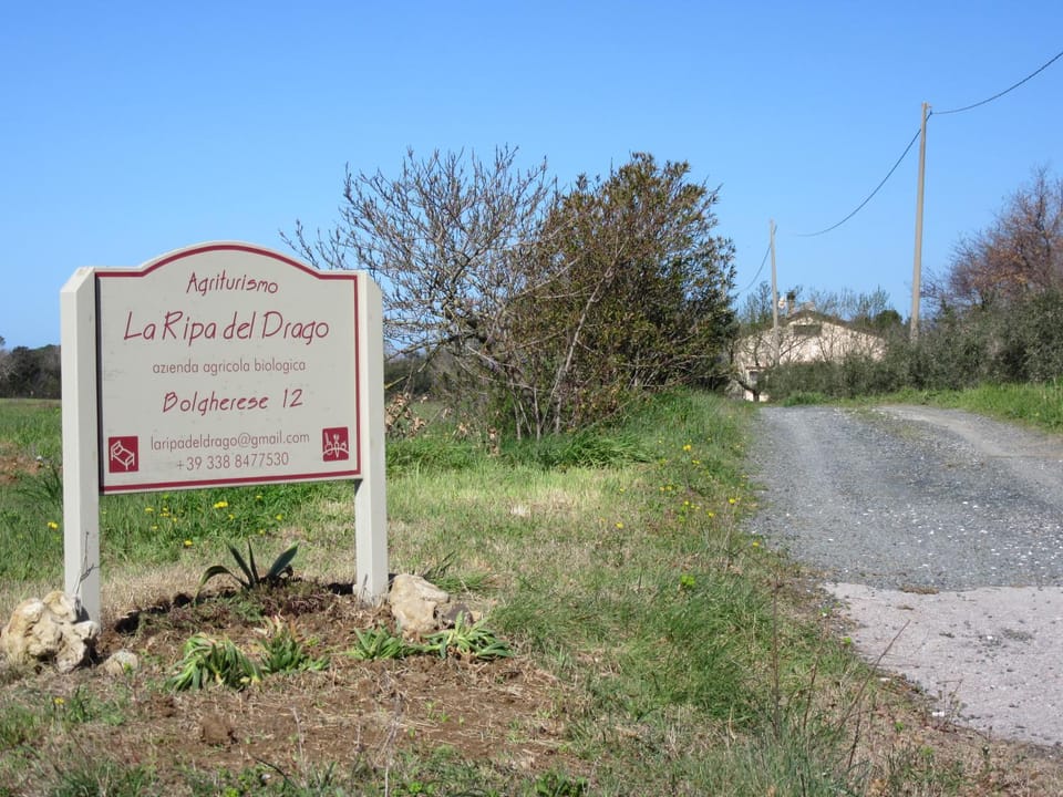Facade/entrance, Street view