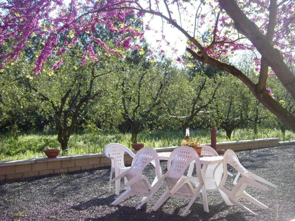 Garden, Garden view