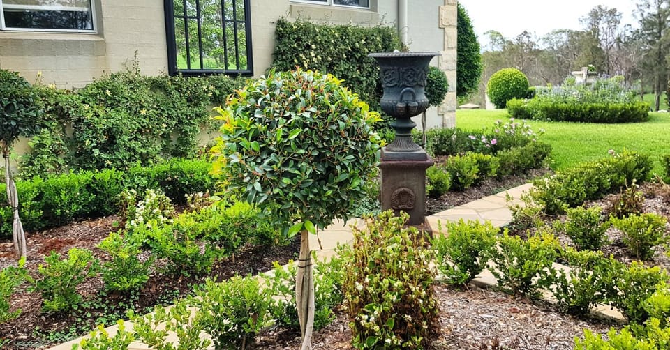 Garden