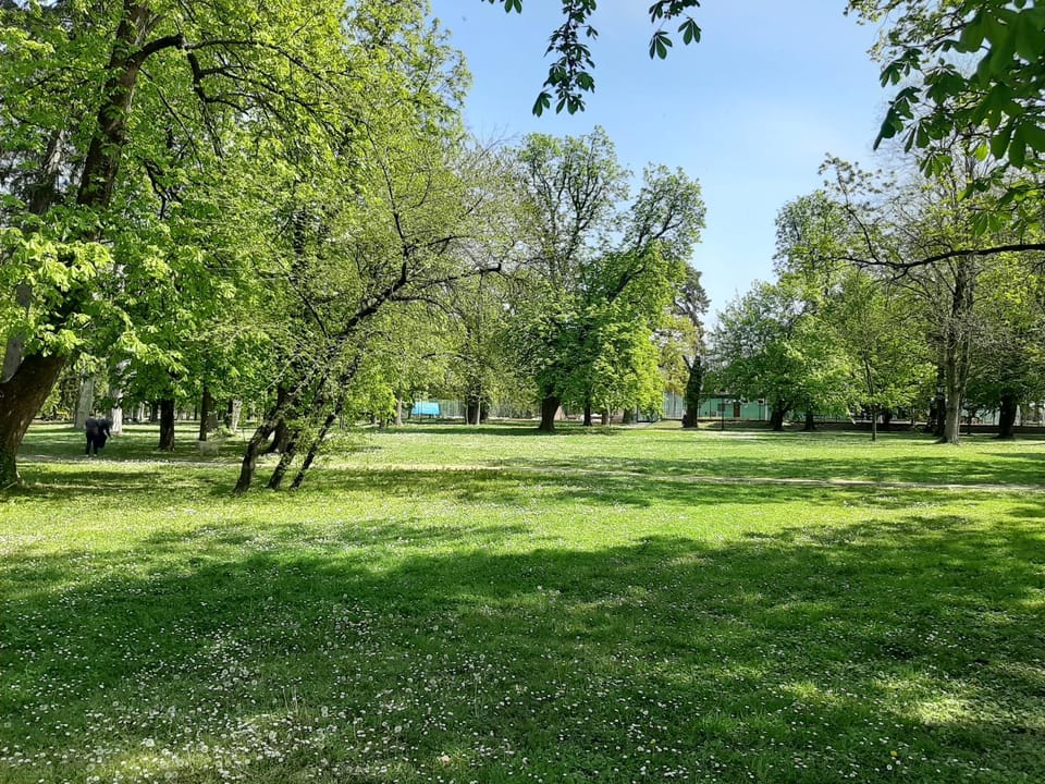 Day, Natural landscape