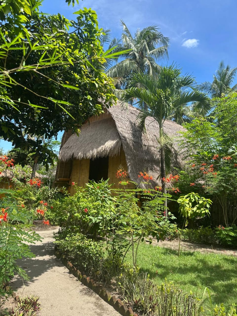 Garden view