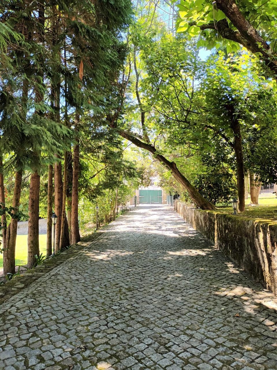 Casas do Souto Country House in Porto District