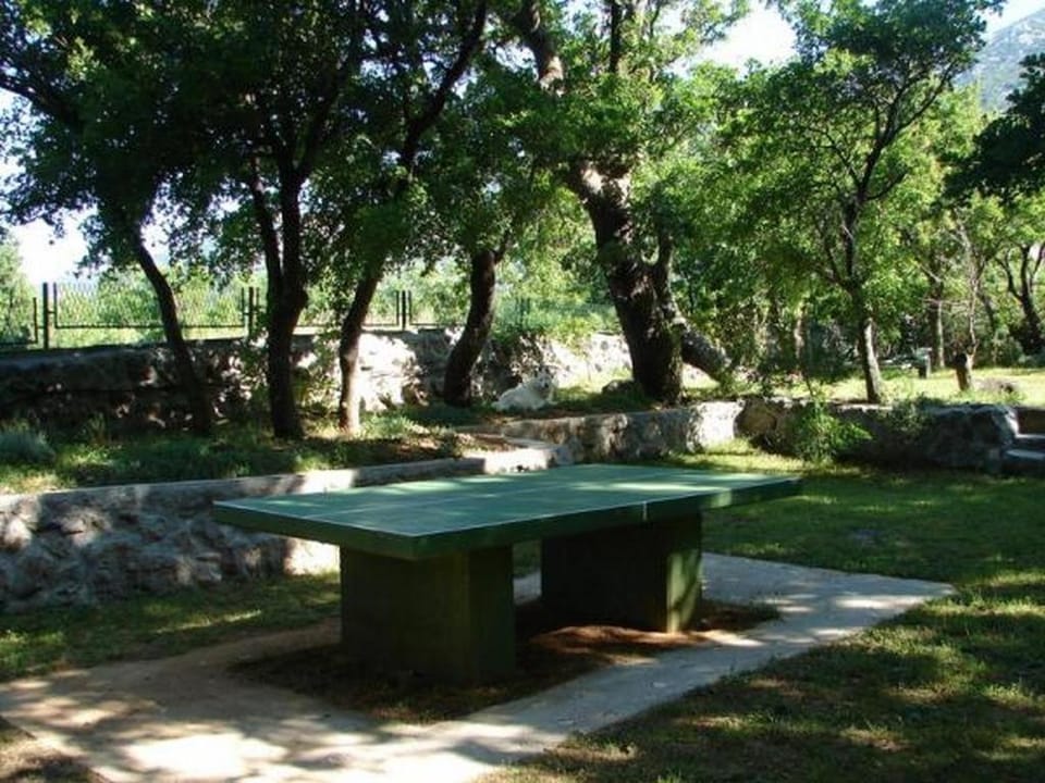 Location, children, Family