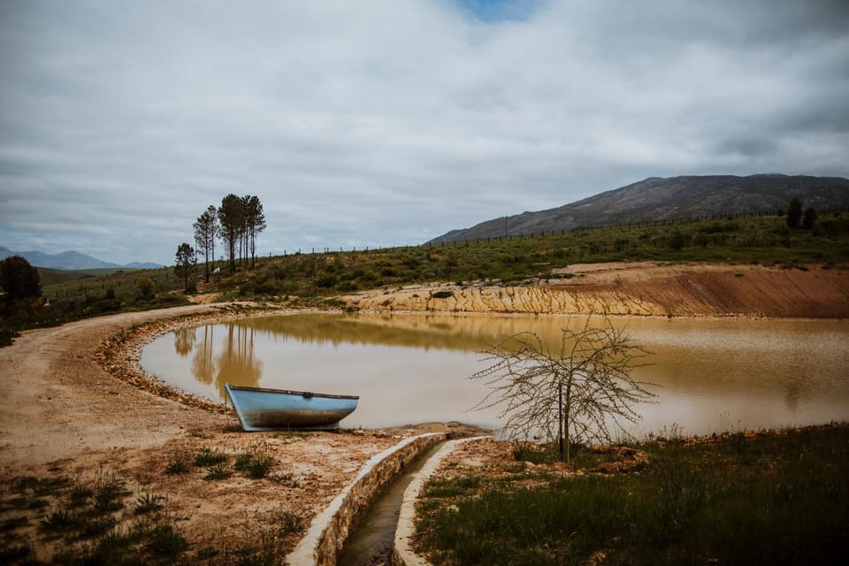 Lake view