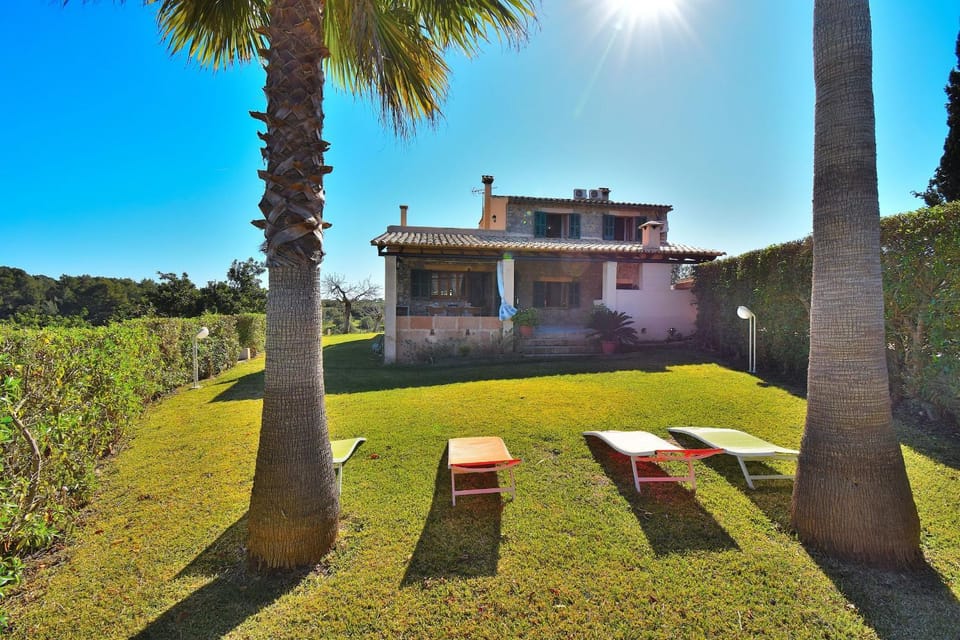 Patio, Garden, Garden view