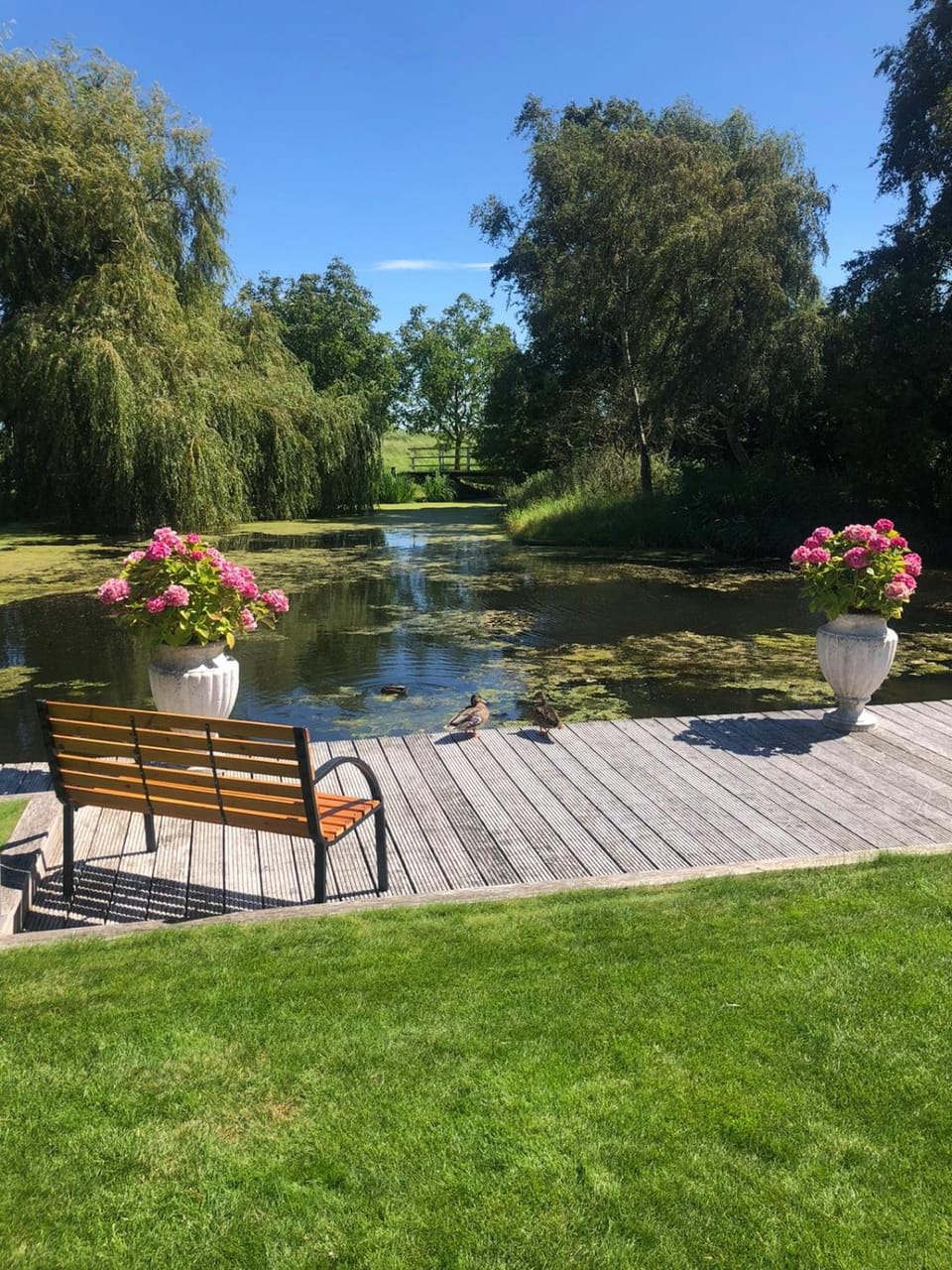 De Weideblom Apartment in North Holland (province)