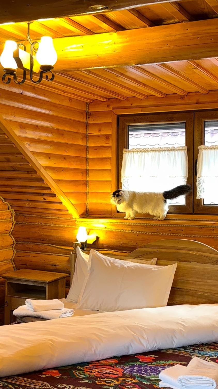 Pensiunea Anca Farm Stay in Romania