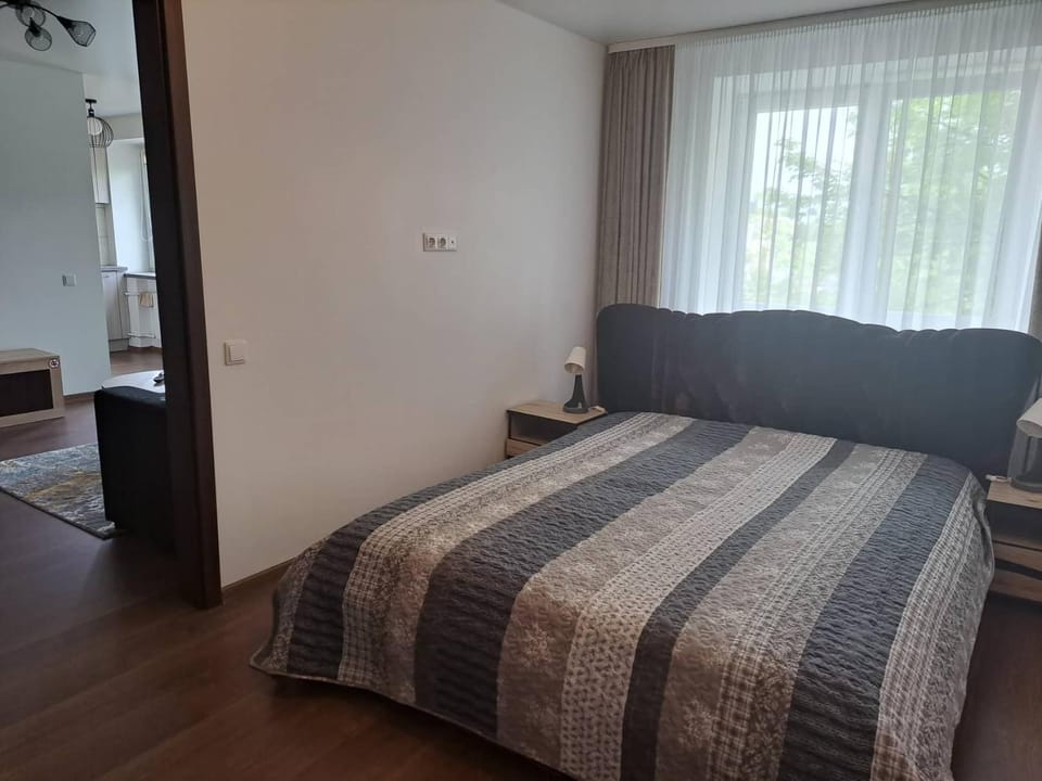 Trumpalaikė nuoma centre Apartment in Lithuania