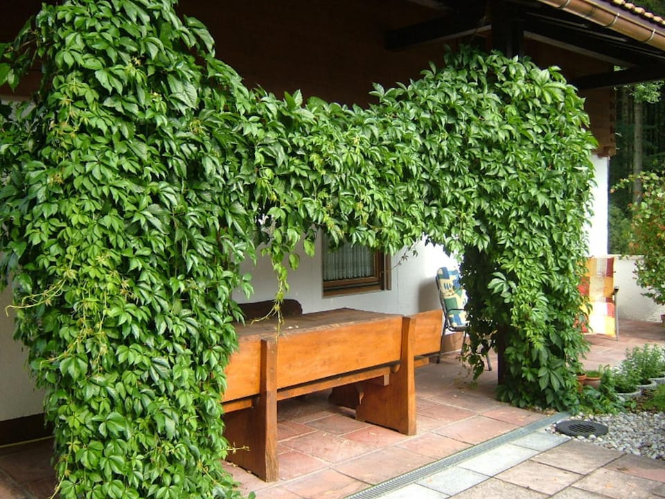 Haus Mayerbüchler - Chiemgau Karte Apartment in Berchtesgadener Land