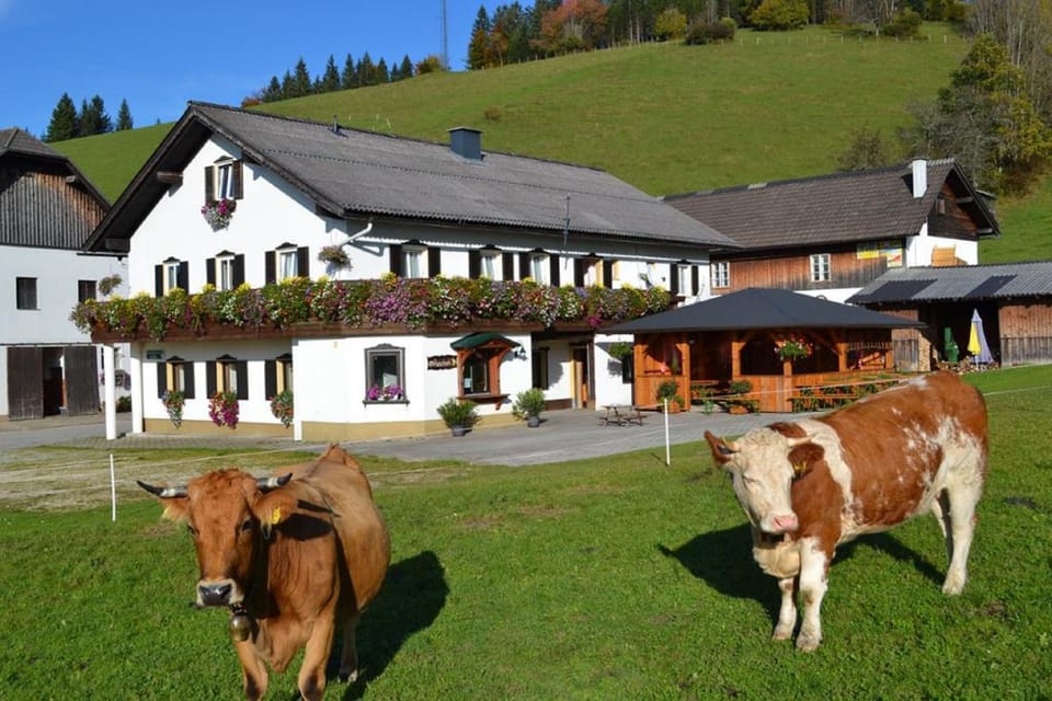 Property building, Animals