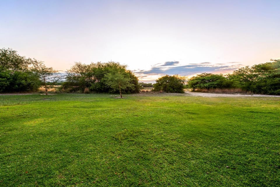 Spring, Day, Natural landscape, Garden, Garden view