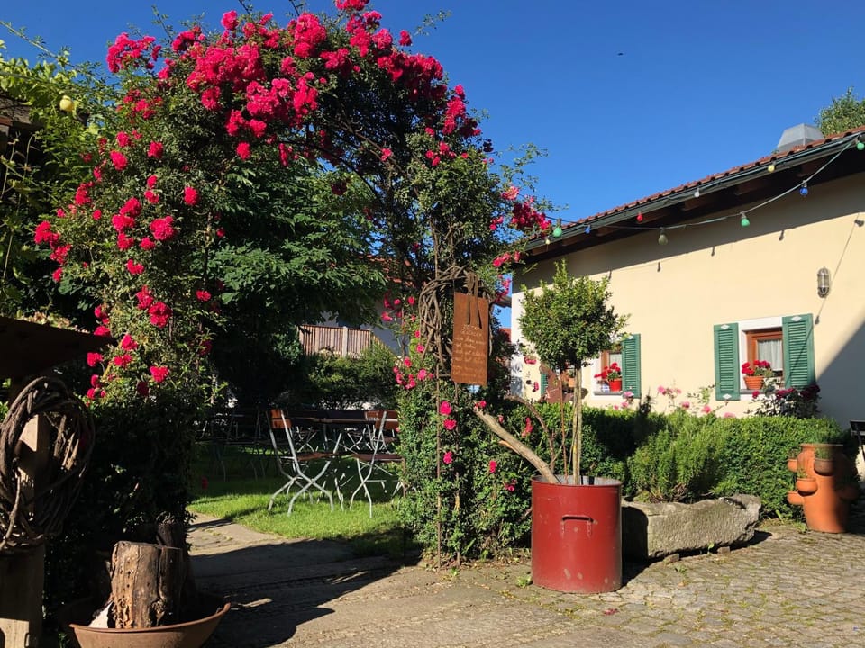 Patio, Restaurant/places to eat