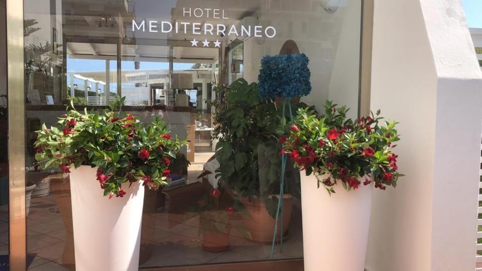 Hotel Mediterraneo Hotel in Lazio