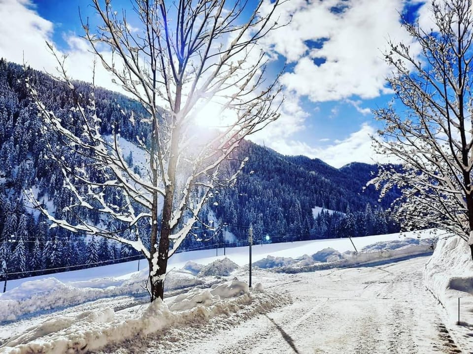 Neighbourhood, Natural landscape, Winter