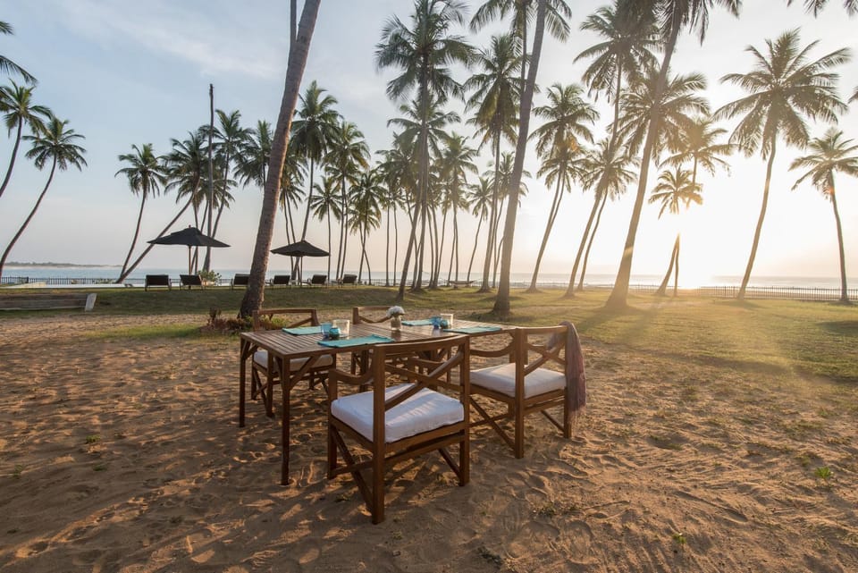 Garden, Food and drinks, Beach, Area and facilities