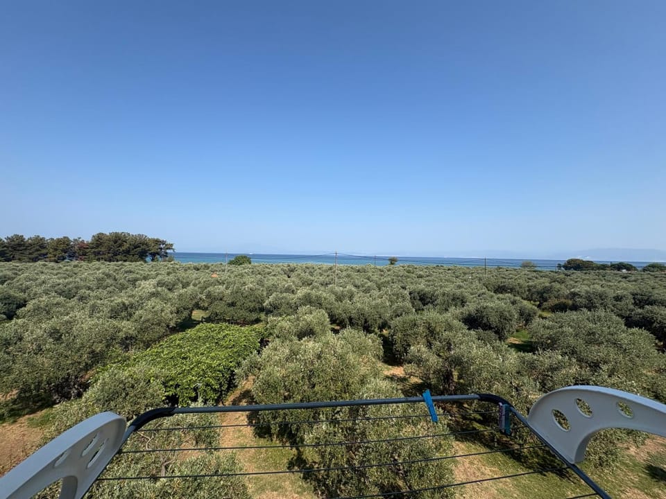 Xanthoula Studios Apartment in Thasos