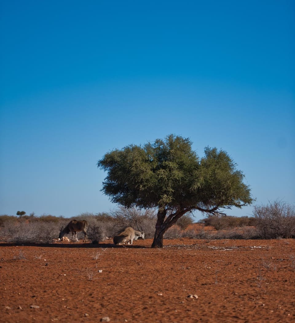 Day, Natural landscape