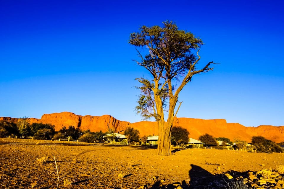 Natural landscape, View (from property/room)