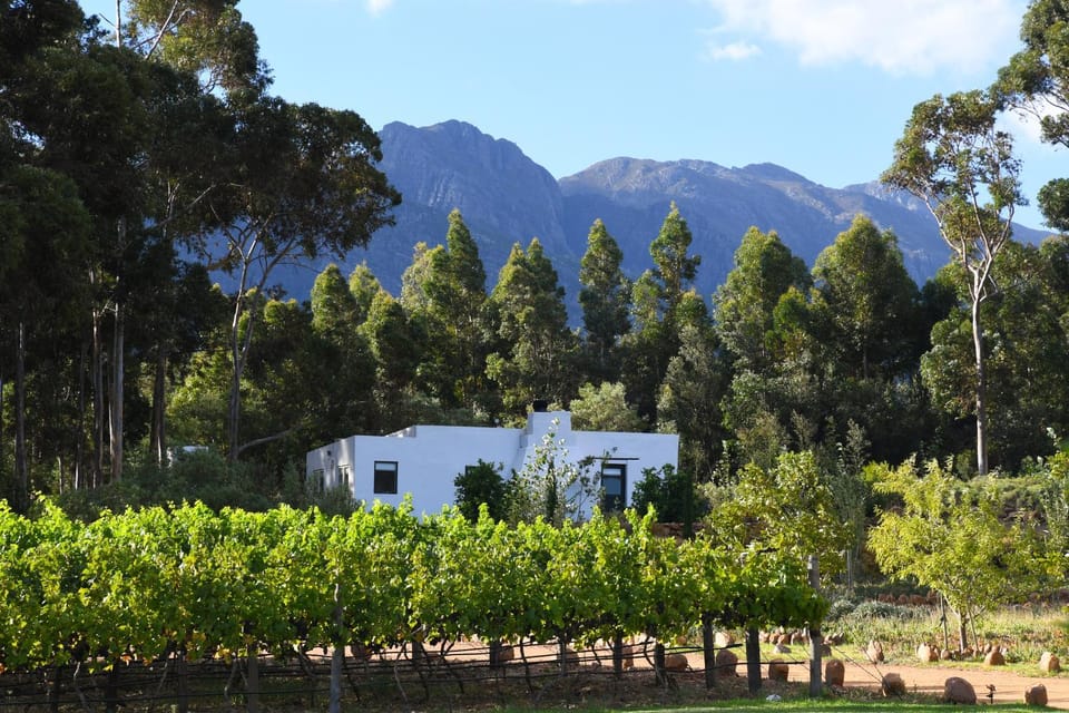 Natural landscape, Garden, Garden view, Mountain view