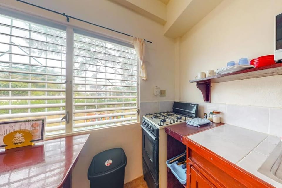 Palmetto#1 @ Island Cabanas Apartment in Belize District