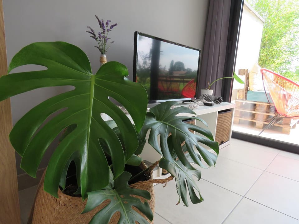 Living room, Decorative detail