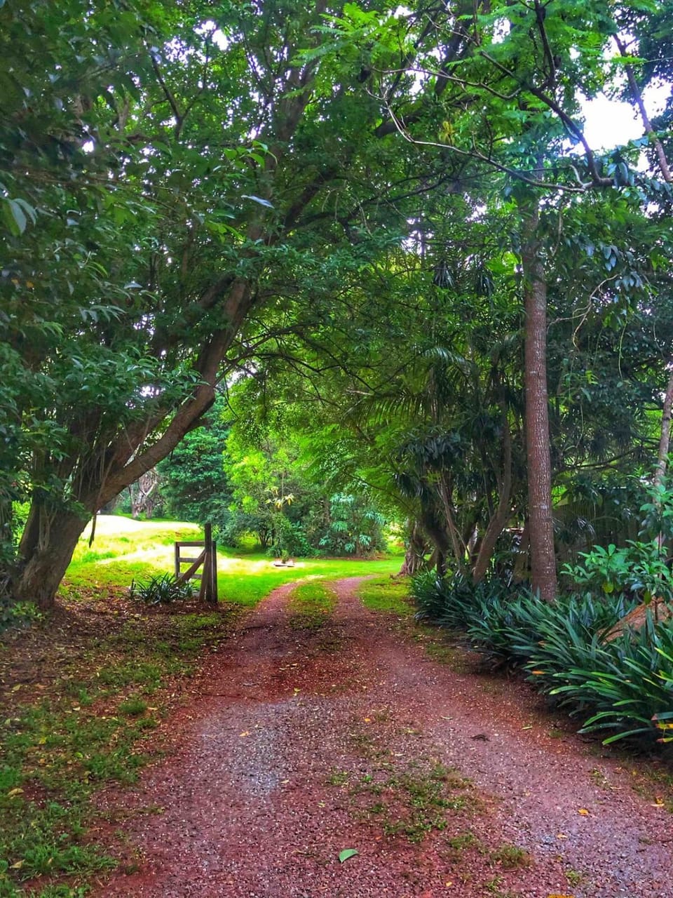 Natural landscape