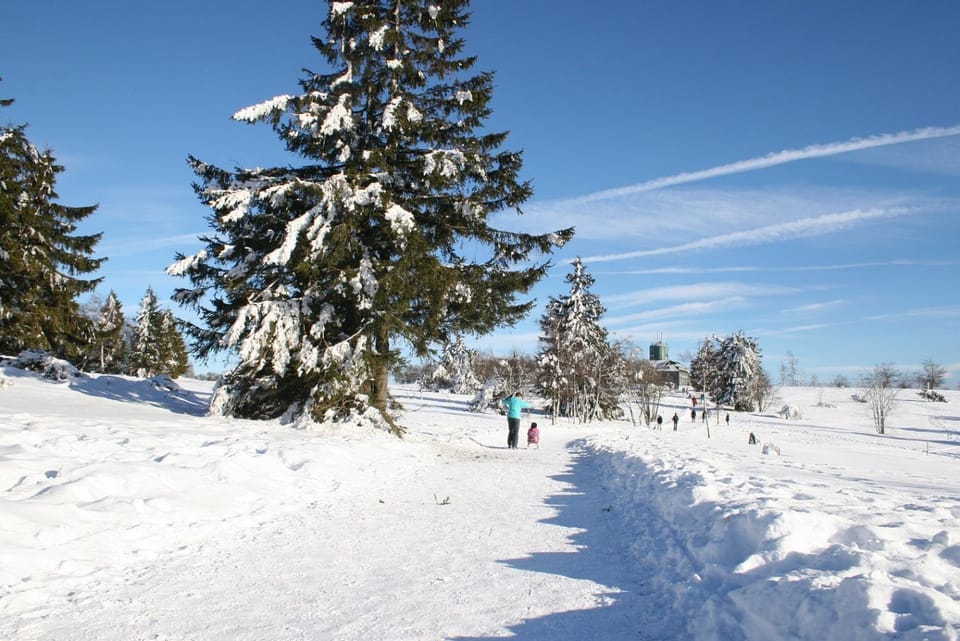 Natural landscape, Winter