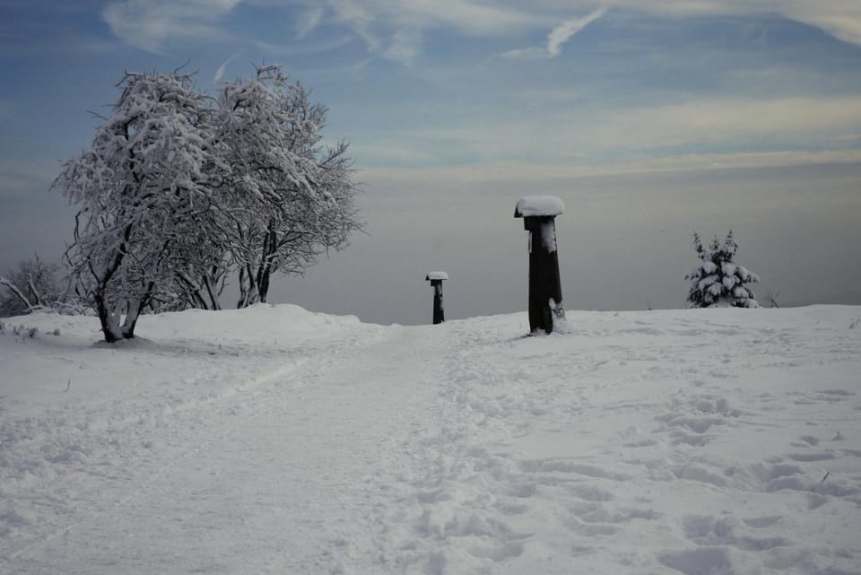 Winter