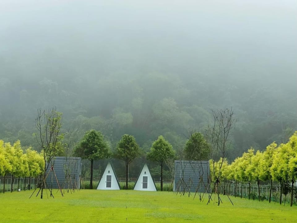 Natural landscape, Garden view