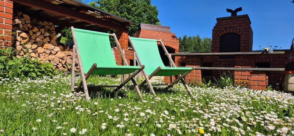 Garden, sunbed