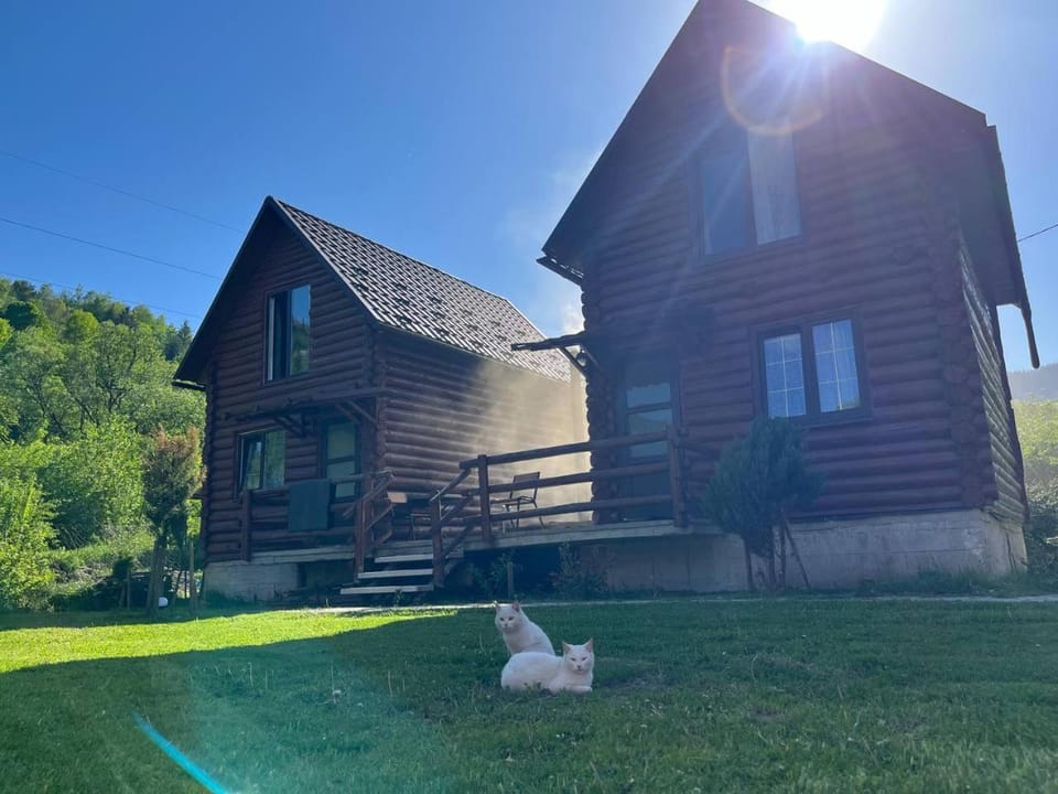 ШОВКОВА КОСИЦЯ Farm Stay in Romania