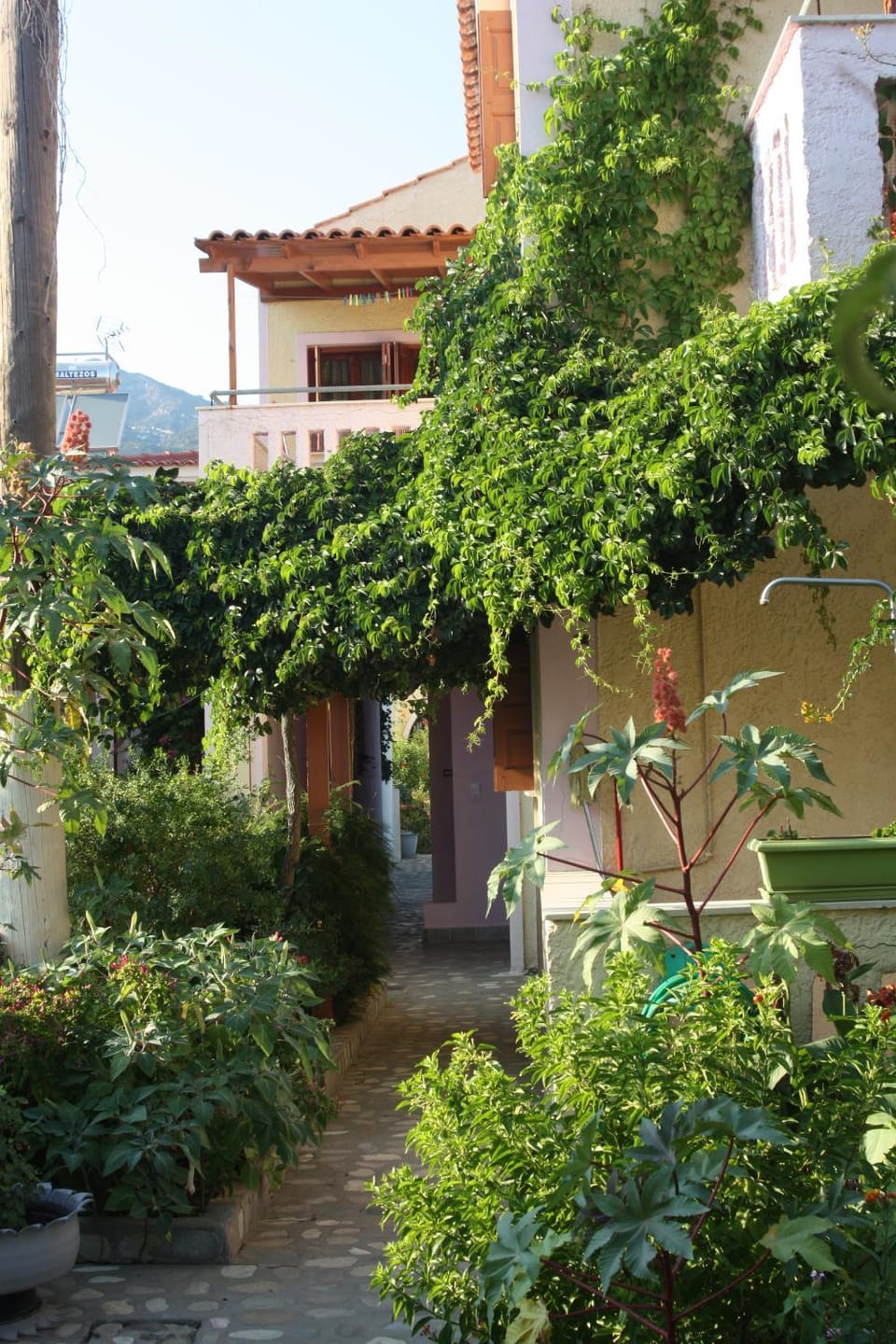 Property building, Garden view