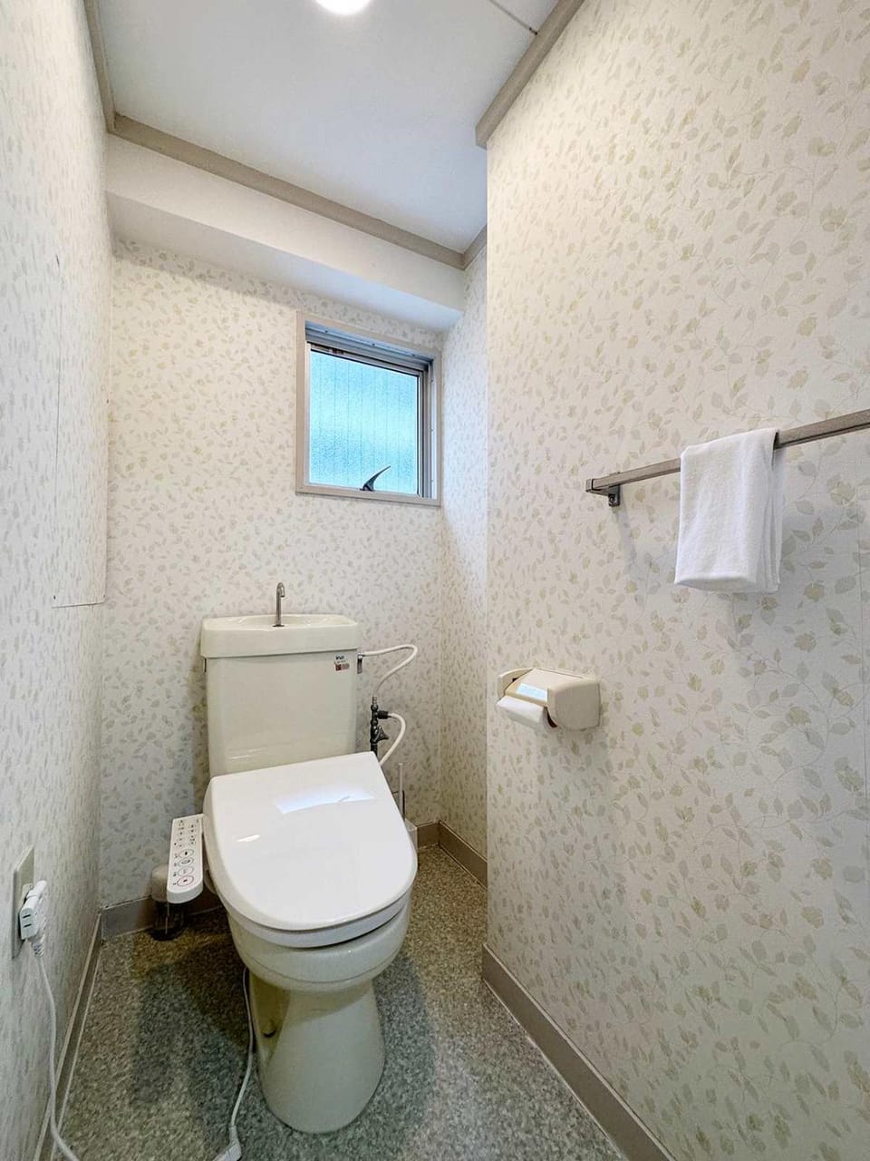 Toilet, bidet
