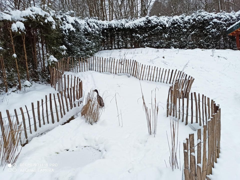 Pension Waldsauna Fahrradfreundlich am Ruhrtalradweg Bed and Breakfast in Arnsberg