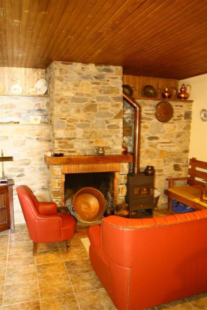 Living room, fireplace