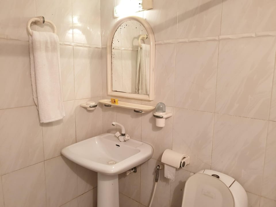Shower, Toilet, Bathroom, bidet
